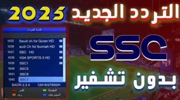 ثبتها ببلاش الأن.. تردد قناة ssc نايل سات 2025 الناقلة لمباراة الاهلي والنصر السعودي اليوم في الدوري السعودي