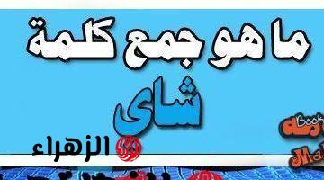 للاذكياء فقط .. دكتور جامعي يجيب عن سؤال ما هو جمع كلمه شاي في اللغة العربية؟! .. الإجابة عمرها ما خطرت على بالك