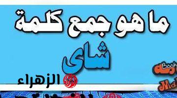 للاذكياء فقط .. دكتور جامعي يجيب عن سؤال ما هو جمع كلمه شاي في اللغة العربية؟! .. الإجابة عمرها ما خطرت على بالك