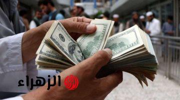 سعر الدولار اليوم في مصر تحديث يومي الاثنين 24 فبراير.. آخر تحديث للبيع والشراء