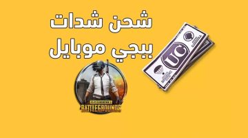 5000 شدة بضغطة واحدة.. كيفية شحن شدات ببجي PUBG Mobile من الموقع الرسمي أضمن طريقة لعام 2025