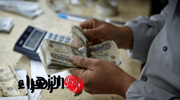 بـ8 جنيهات.. كيفية الحصول علي معاش مضمون للسيدات غير العاملات