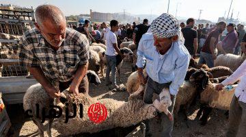 يحدث لأول مرة.. أول بلد عربية تعلن إلغاء عيد الأضحى المبارك لهذا السبب !!