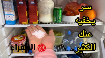 جدتي العجوزة قالتلي عليها.. حيلة عبقرية أخبرني بها فني تصليح الثلاجات النهاردة.. لن تتخيلي النتيجة