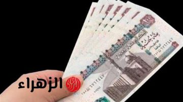 بـ8 جنيهات يوميا.. كيف تحصل السيدات العاملات من المنزل على معاش شهري؟