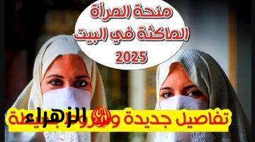 منحة المرأة الماكثة في البيت 2025 وخطوات التقديم عبر الوكالة الوطنية للتشغيل anem.dz