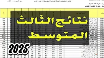 رابط إعلان نتائج الصف الثالث المتوسط في العراق 2025 – الدور الأول