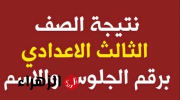 نتيجة الشهادة الإعدادية 2025 في محافظة القليوبية