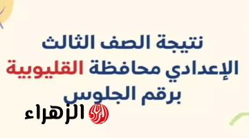 “ظهرت الآن برقم الجلوس”.. نتيجة الشهادة الإعدادية في محافظة القليوبية 2025 الترم الأول