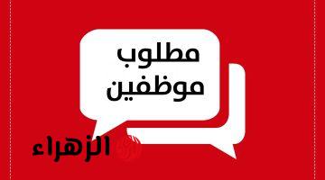 وظيفة الأحلام جات.. الحكومة تعلن عن وظائف شاغرة لخريجي هذه الكليات والدبلومات | المرتب مجزي