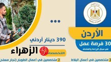 وزارة العمل: فرص عمل جديدة فى الزراعة والفنادق بالأردن براتب 390 دينار شهريا