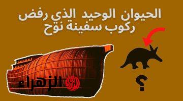 “ضاع عمرنا واحنا منعرفهاش”.. الحيوان الذي لم يصعد سفينة سيدنا نوح هتتفاجئ لما تعرف!!