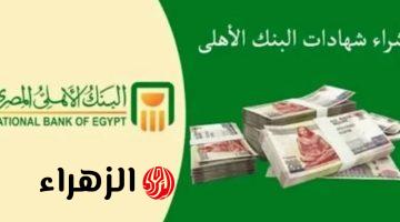 «عاوز تستثمر فلوسك بأمان وتكسب عائد مضمون؟» اكتشف تفاصيل شهادات البنك الأهلي المصري 2025 وعوائدها الخرافية.. محدش هيقولك عليها غيري!!