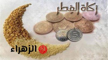 مفتي تونس يعلن عن قيمة زكاة الفطر لعام 1446 هـ / 2025 م… الموعد المحدد للإخراج وكيفية الدفع وأهمية الزكاة في تحقيق التكافل الاجتماعي