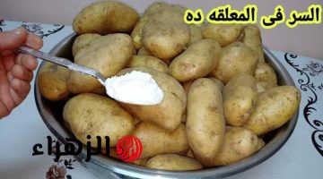 “طول عمرنا بنفرز البطاطس غلط”…جبتلك الوصفة الصح اللي عمرك ما هتندمي عليها – أفضل طريقة لتخزين البطاطس المقشرة !!