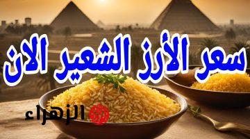 الأسعار مولعة قبل العيد.. سعر طن الأرز الشعير الان الأسواق المصرية 2025 