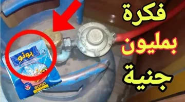 هتكفيكي نص السنه … هاتي كيس ملح وهقولك على فكرة جهنمية هتوفري غاز الأنبوبة!!.. ابقى تعالى واسأل بابا!!