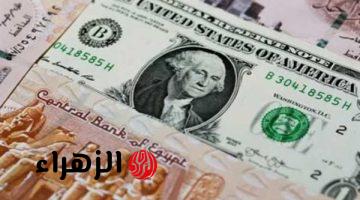 “الدولار وصل كام”.. سعر الدولار مقابل الجنيه المصري في البنوك المصرية اليوم السبت 22 مارس 2025