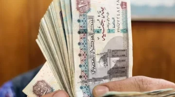 بشرة سارة للموظفين في مصر.. زيادة جديدة لهذة الفئة  تصل إلى 8000 جنيه | تفاصيل مهمة