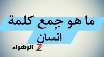 “99% من الطلاب عجزوا عن حله؟!”… .. دكتور جامعي يجيب عن سؤال ما هو جمع كلمه إنسان في اللغة العربية؟! .. الإجابة عمرها ما خطرت على بالك