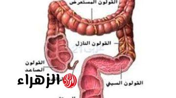 «مش هتعاني من الإمساك تاني!!».. عشبة مهملة تعمل على علاج الإمساك والبراز المتحجر والتخلص من مشاكل القولون في غصون دقائق.. وهي من أعشاب الطب الصيني الشعبي المميزة!!