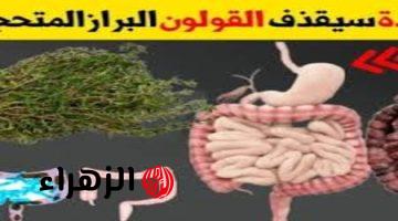 «عشبة سحرية هتعالج الإمساك!!».. تعمل على علاج الطعام المتحجر وتنظيف القولون وتحسين عمل الجهاز الهضمي مع سحب سموم الجسم!!