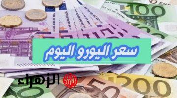 “مفاجأة كبيـرة” سعر اليورو في السوق السوداء والبنوك “بنك مصر وبنك الأهلي” اليوم الاثنين 10 مارس.. 100 يورو عاملة كـام دلوقت