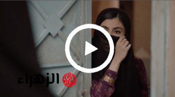 ما علاقة وضحى بسر أبو إبراهيم.. متابعه حصريه الان مسلسل شارع الأعشى الحلقة 23