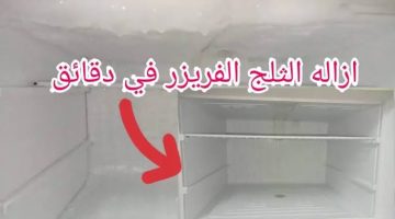 “نضفي بيتك قبل العيد”.. طريقة عبقرية للتخلص من الثلج المتراكم في الفريزر في ثواني بدون مجهود !!!!