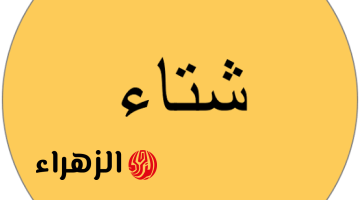 “محدش عارف يحلها” .. ما هو جمع كلمة “شتاء” التي حيرت المصححين في اللغة العربية؟؟.. الإجابة غير متوقعة من دكتور جامعي خبرة