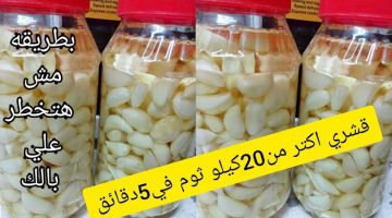 فصصت 10 كيلو في ثواني”… طريقة عبقرية لـ تفصيص الثوم في شهر رمضان بسرعة البرق !!.. سر طباخ سعودي مشهور!!