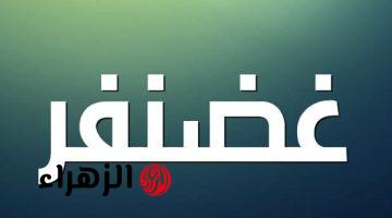 “لو حليتها فأنت عبقري”.. ما هو جمع كلمة غضنفر في معاجم اللغة العربية؟! الإجابة هتصدمك وهتغير فكرتك عن اللغة!!