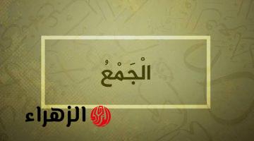 “سؤال حيّر الملايين”!!.. هل تعرف جمع كلمة صلصلة في اللغة العربية؟! الإجابة مفاجأة غير متوقعة!!