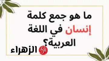 “5% بس اللي عرفوا يحلوها ” .. ماهي الإجابة الصحيحة لجمع كلمة “إنسان” في اللغة العربية التي حيرت الطلاب المعلمين .. إجابة غير متوقعة !!!