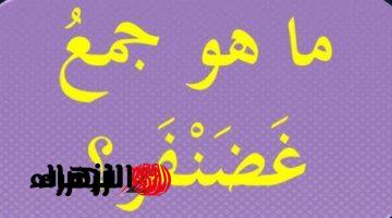 اتحداك انك تعرف حلها… ماهو جمع كلمة غضنفر في معاجم اللغة العربية؟؟ تبقي عبقري لو عرفت تحلها .. هتتفاجئ إن ليها جمع!!!