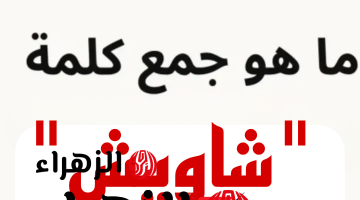 “أتحداك تعرف تحلها لوحدك” .. ماهو جمع كلمة “شاويش” في اللغة العربية؟ السؤال الذي أبكي ملايين الطلاب .. إجابة ماتخطرش على بال حد