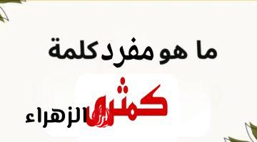 ” دفعة كاملة سقطت بسببها ” .. هل تعلم ما هو مفرد كلمة كمثرى التي عجز عن حلها الطلاب والمدرسين .. إجابة محدش يتوقعها أبدا !!