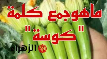 ” سؤال لعباقرة اللغة فقط ” .. هل تعلم ماهو مفرد كلمة “كوسة” في المعجم اللغوي .. دكتور جامعي يكشف عن الإجابة الصحيحة!!!