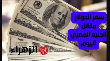 الأخضـر يكسـر التوقعـات.. سعر الدولار اليوم بنك مصر السبت 9 مـايو 2026 وبـاقـي العمـلات كـم وصـلت