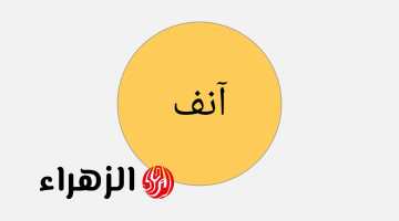 اللغة العربية بحر لا ينضب من المعاني والمفردات!!..ما هو الجمع الصحيح لكلمة أنف في معاجم اللغة العربية..ولماذا أثار الجدل بين الطلاب والمعلمين؟!!