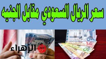 “رايــح لفين” سعر الريال السعودي مقابل الجنيه المصري في البنك الاهلي وبنك مصر.. اعرف الـ100 ريال عاملة كــام