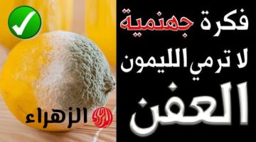 “كنز يساوي دهب”..اليك استخدامات مبهرة لليمون البايظ مخطرتش علي بالك استخداماته ومش هترميه تاني من النهاردة!!