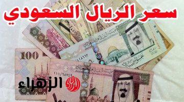 السعودي وصل كام.. سعر الريال السعودي مقابل الجنيه المصري اليوم الجمعه في البنوك المصرية