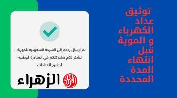 «عدّادك لازم يتوثق».. طريقة توثيق عداد المياه السعودية بسهولة عبر تطبيق توكلنا ta.sdaia.gov.sa كما حددتها الشركة الوطنية.. «نفّذها دلوقتي ومتندمش»