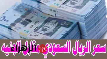 مفاجأة لو رايح السعودية… سعر صرف الريال السعودي مقابل الجنيه المصري اليوم الثلاثاء.. ياتري سجل كام