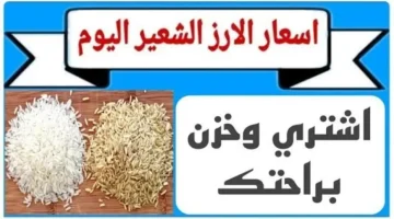 “مفاجأة في الأسعار”.. سعر طن الأرز الشعير اليوم الأحد 23 مارس 2025 في السوق المصري