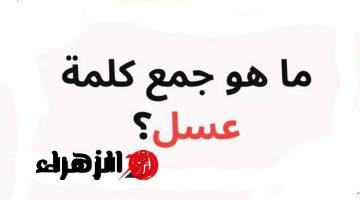 “الإجابة اللي شككت الدكاترة في نفسهم!”.. ما هو جمع كلمة عسل في اللغة العربية التي حيرت الطلاب والمدرسين.. محدش عرف يجاوب!!