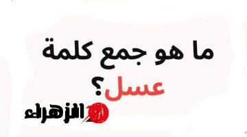 “الطلاب قعدوا يحكو ويتحاكو فيه!”.. ما هو جمع كلمة عسل في اللغة العربية التي حيرت الطلاب والمدرسين.. محدش عرف يجاوب!!