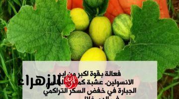 “ودع أدوية السكر للأبد”.. عشبة جبارة أقوى من الأنسولين مليون مرة تخفض السكر التراكمي في 30 دقيقة بس هتنقذك من زيارة الدكتور نهائيا!!