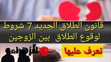 “إياك تعملها وفكر الف مرة!!”.. 7 شروط جديدة لوقوع الطلاق حسب قانون الأحوال الشخصية 2024.. مش زي زمان!!